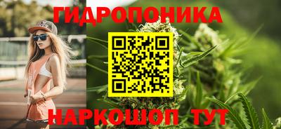 крисы Можайск