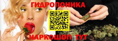 крисы Можайск